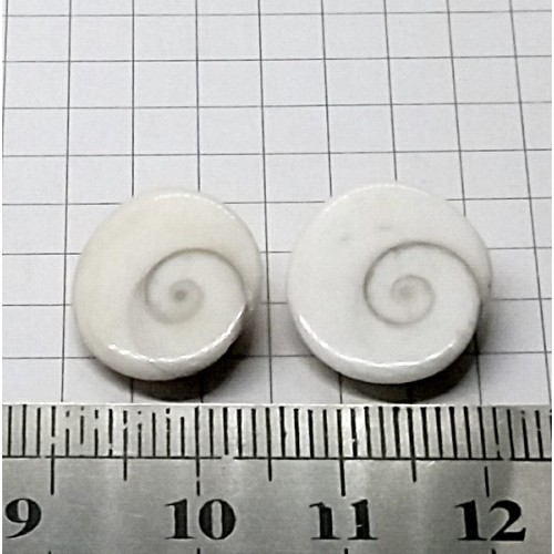 Shiva Eye Shell Kabaşon - 2 adet